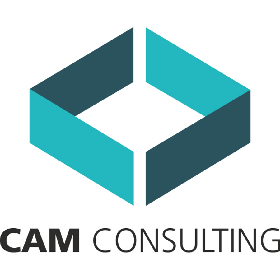 CAM Consulting